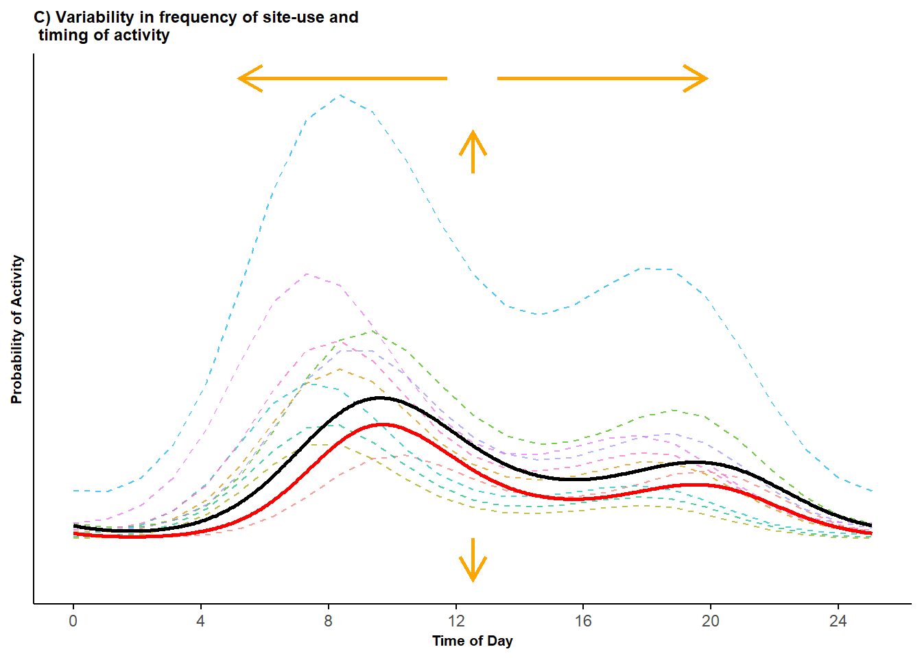 Bimodal probability activity curves showing variability in both the frequency of site-use and variability in timing of activity; displayed are activity curves across sites (dashed lines) along with the marginal mean curve (black line) and conditional mean curve (red line).