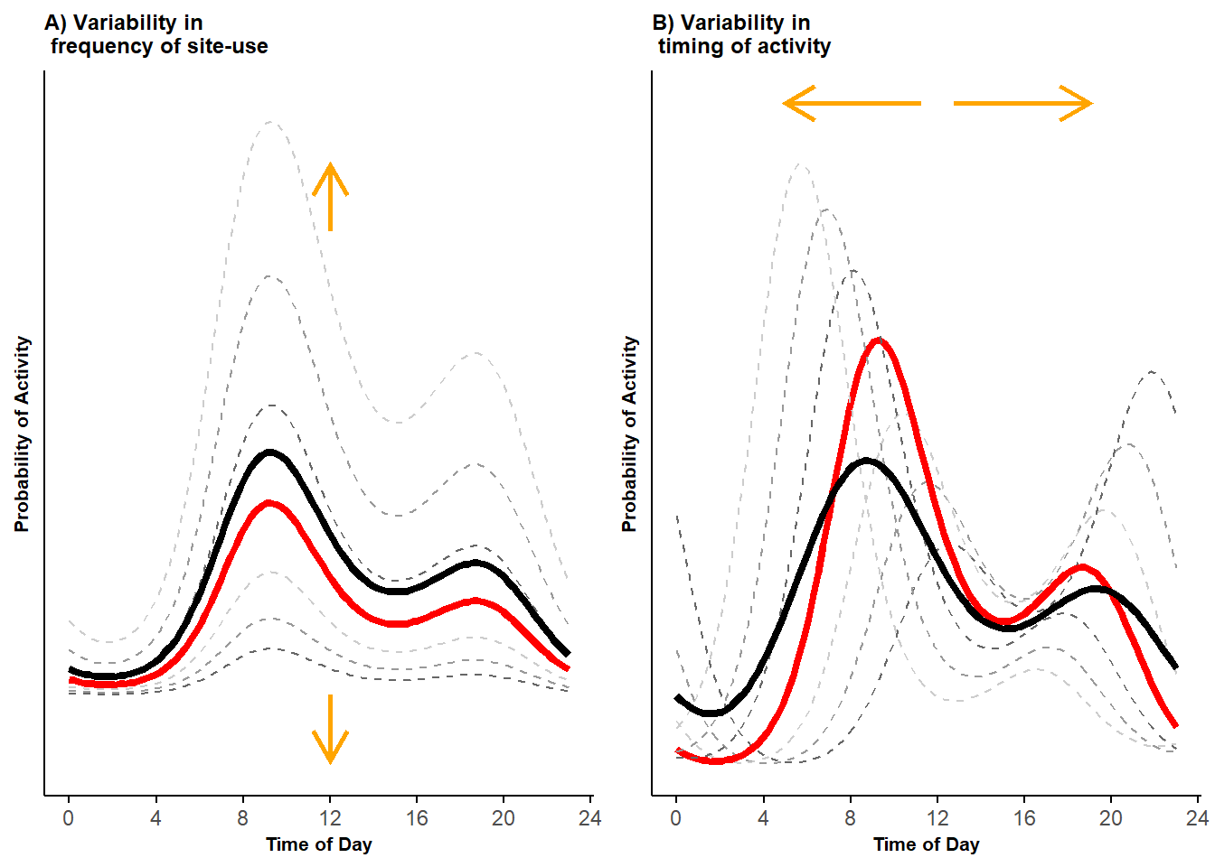 Bimodal probability activity curves showing variability in frequency of site-use (A) and variability in timing of activity (B); displayed are activity curves across sites (dashed lines) along with the marginal mean curves (black lines) and conditional mean curves (red lines).